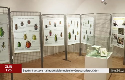 Muzeum jihovýchodní Moravy ve Zlíně