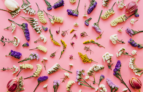 Krajská knihovna Františka Bartoše ve Zlíně Krajská knihovna Františka Bartoše ve Zlíně