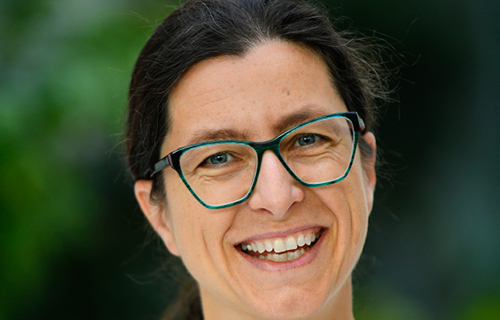 Kurz meditace Kurz meditace